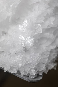 Sea Salt (Sodium)