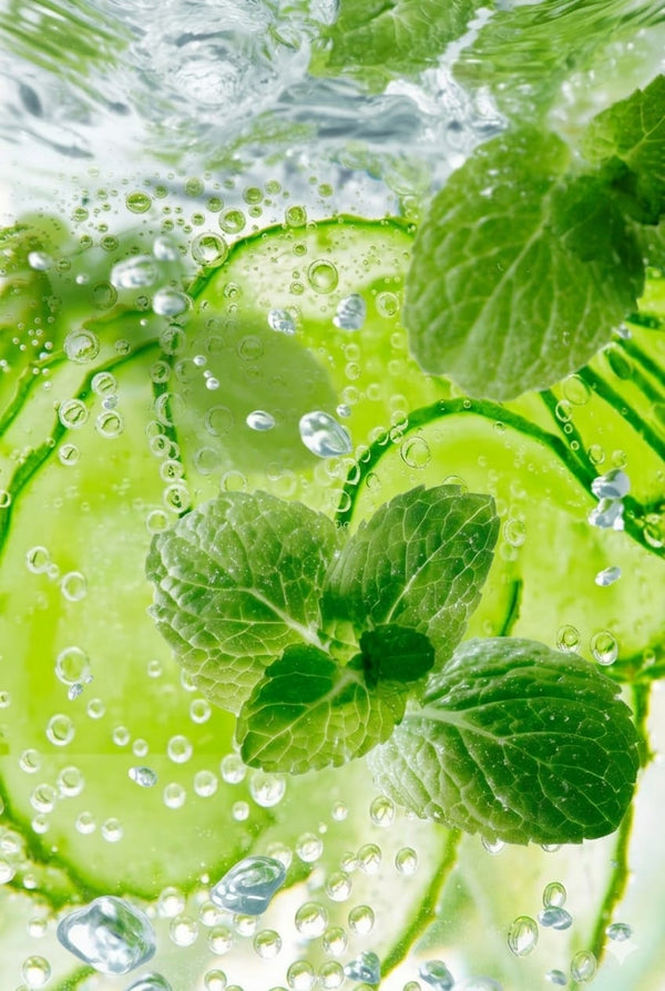 Cucumint